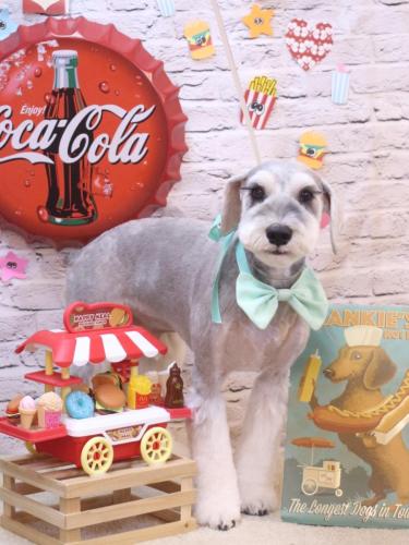 20230924りくくん